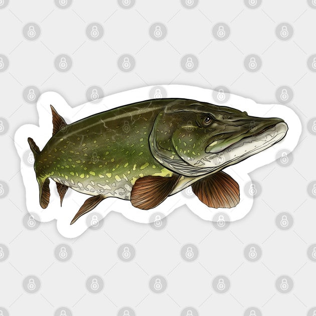 Northern Pike Sticker by Sandarmi